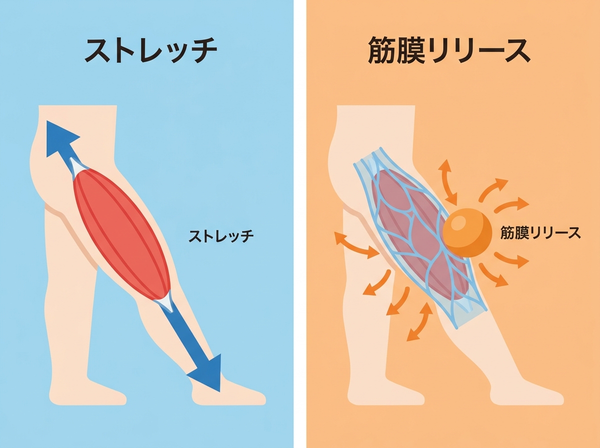 A side-by-side comparison illustration showing stretching on the left with arrows pulling a muscle in one direction labeled "ストレッチ" and fascia release on the right with gentle pressure applied from multiple directions labeled "筋膜リリース"
